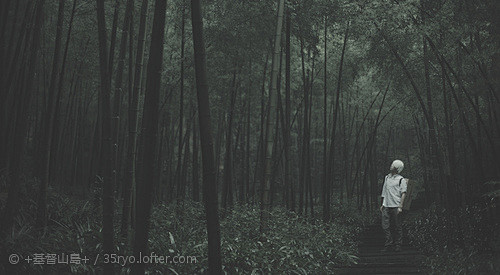 虫师

银古：黑仪

photo：35R...