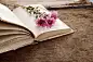 Vintage novel books