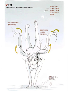 猫啊·采集到人体动态