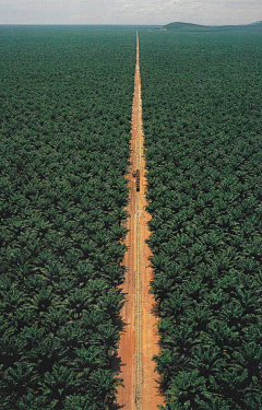 墨墨大娃娃采集到Road.▕ 世上的路千万条。