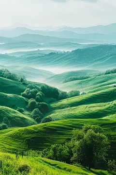 辽阔的绿草地高清图片