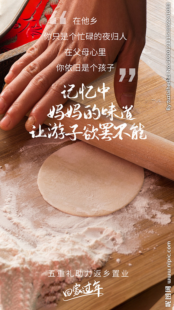 返乡置业回家过年活动海报素材