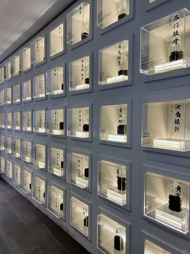 一茶一饮｜茶样展示