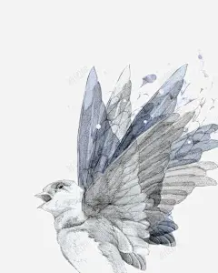 水彩鸽子 创意素材