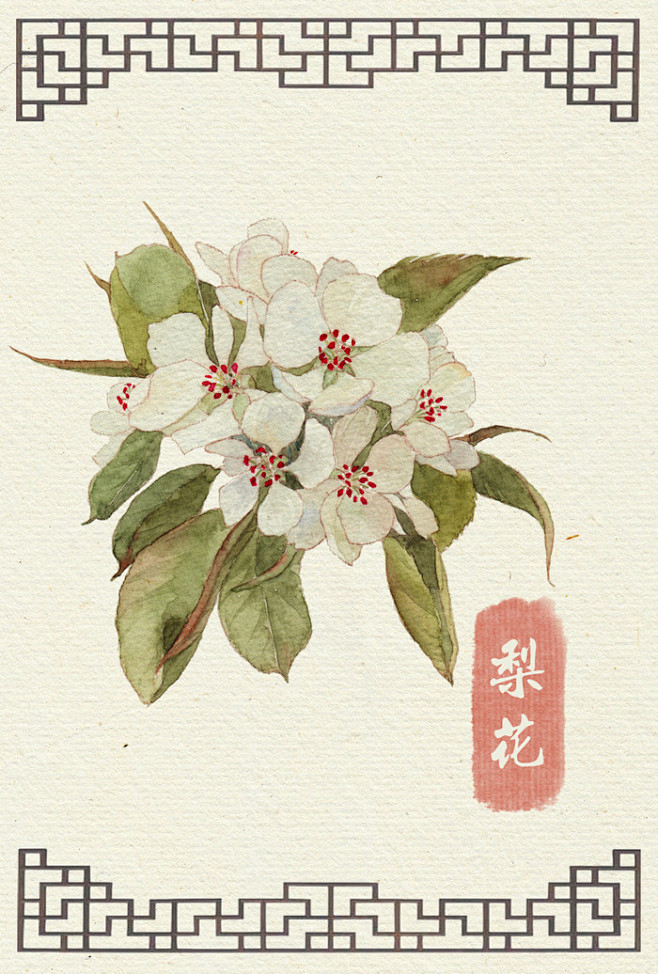 水彩手绘花卉 
