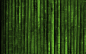 绿色大自然竹 - 壁纸（#2805114）/ Wallbase.cc