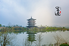 棠雨S采集到待归类