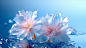 LS_Glass_flowers_on_water_crystal_texture_clear_and_exquisite_s_eec49e84-ce09-4489-8156-1aa3910df7ef