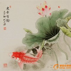 荷花工笔画