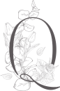 唯美婚礼素描字母花卉植物海报请柬装饰免抠PNG元素图案PS合集 (85)