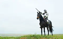 马、 骑士、 剑、 盔甲 壁纸