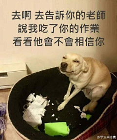 Sheryluna采集到luna