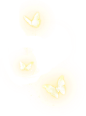 6666