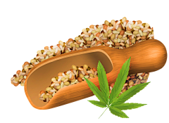 康康呐！采集到版式