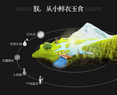 锐意视觉采集到食品描述