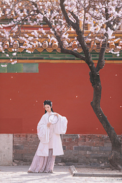 prideandprejudice1采集到故宫红qiang