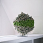 Sphericity of branches with green mums ~ Ivan Poelman