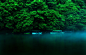 日本本州岛,自然风景,树林,湖水,船,风景图片