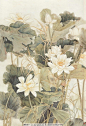 清芬 工笔画 线描 国画 中国画 植物 树木 大师作品 风景画 工笔画花草 花 鲜花 叶子 绿叶 荷花 荷叶 当代中国工笔走兽花鸟画 绘画书法 文化艺术 设计 72DPI JPG