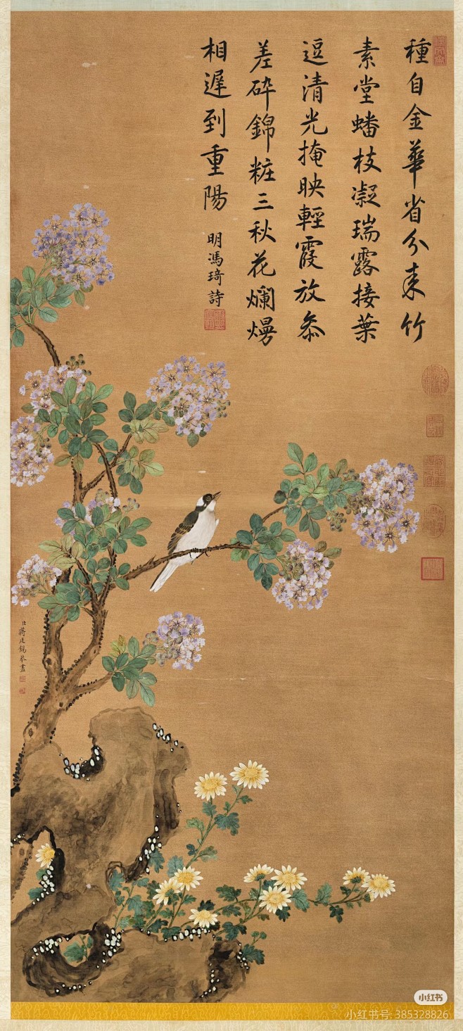 紫薇花 清代 蒋廷锡 花鸟写生·台北故宫博物院收藏飞画中描绘盛开的紫薇花及菊花，白头翁鸟在树稍仰头鸣叫。树下有湖石衬托，暗示此景为人工建造的花园。