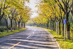 明月清风我wo采集到道路景观