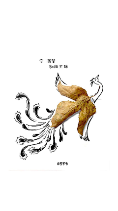 错误的镜子采集到有意思