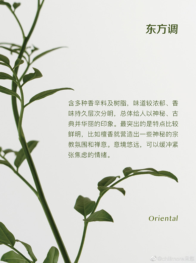 @chillmore且悠 的个人主页 -...