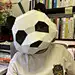 一个设计师叫老猫