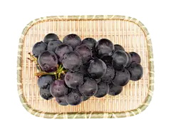 手绘葡萄绿葡萄红葡萄