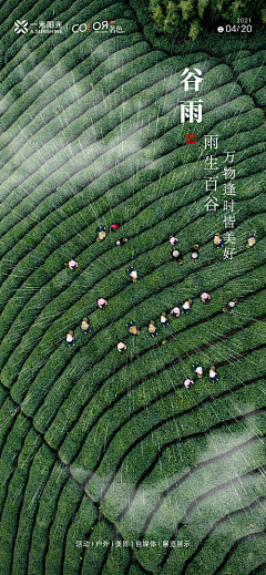 用户pulXLjAB采集到待归类采集