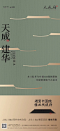 查看图片 10