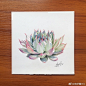那些画多肉的日子
都是美好回忆
#蕾蕾画画##手绘##我爱彩铅画##手绘彩铅# @reeves艺术生活馆 @手绘邦 @手绘工场 @手绘画画 @温莎牛顿 @Artager彩铅世界 @本意绘片馆  @大神手绘作品 ​​​​