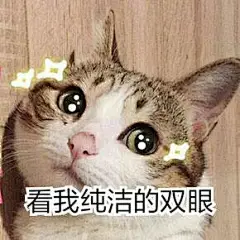 看我纯洁的双眼   卖萌好累   围观喵
暗中观察   再说打你   愚蠢的人类
实力懵逼   不让我跟傻子玩  ？？？
表情包之——萌萌哒的喵星人