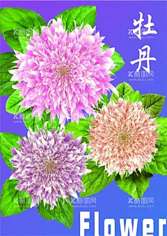 牡丹花  - 源文件下载【酷图网】牡丹花,手绘牡丹,粉色花卉,手绘花卉,古风花卉,花卉封面,手绘水彩,小说封面,本子封面,本本封面,水彩花卉,原创手绘,复古国潮素材,文化艺术,传统文化,矢量花卉,牡丹花底纹,牡丹花海报,牡丹花封面,牡丹花logo,牡丹花标志,牡丹花分层,牡丹底纹,牡丹海报,牡丹封面,牡丹标志,国画,牡丹花油画