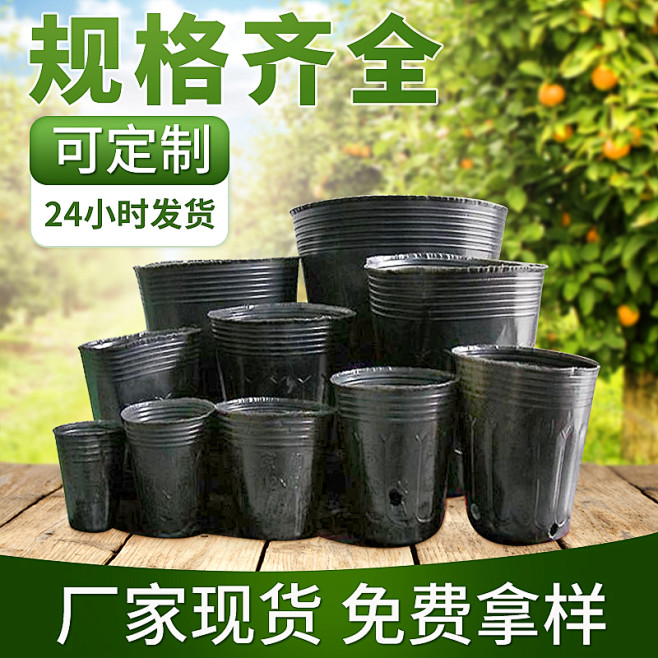 首图