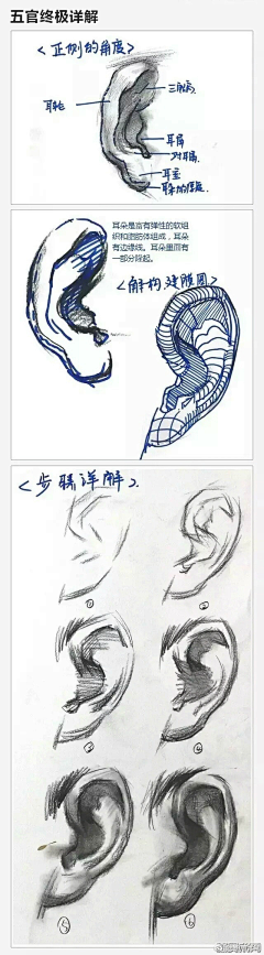 阿尔卑斯·采集到插画教程