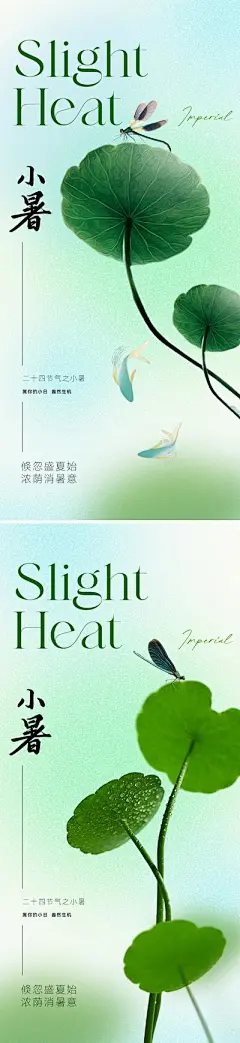 广告 海报 地产 小暑 节气 质感 美业 荷叶 荷花 蜻蜓 池塘 水池 湖面 湖水 清新 淡雅 高级 唯美 夏天 地产美业小暑节气海报