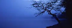 朦胧的蓝色风景桌面壁纸