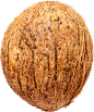 椰果