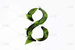 数字8是用白纸剪出来的，里面填满了绿叶。绿叶8号剪影