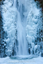 The lower tier of Multnomah Falls, surrounded by ice, plunges 69 feet (21 m), into a frozen splash pool. This waterfall, and most others along Oregon's Columbia River Gorge, were frozen after a week of below-freezing temperatures.