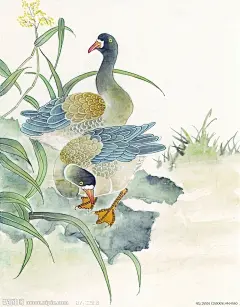 国画 —— 《鹅》