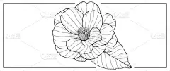 黑色和白色的矢量花插图与一个巨大的郁郁葱葱的花。书籍、装饰、壁纸、名片、文凭和演示文稿、明信片的着色