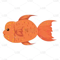 平衡折角灯,橙色,幽默,金鱼,可爱的,野生动物,壁纸,海星,海龟,动物