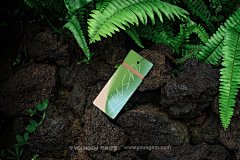 31款户外自然植物服装名片纸杯产品包装单页海报VI应用ps样机素材下载_颜格视觉