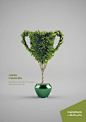 Capital Bank Green Financing Campaign : Green Financing Thematic Campaign