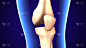 3d渲染人体膝盖解剖插图