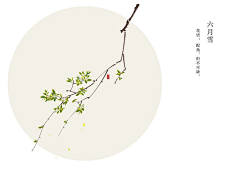 二货菇凉采集到一花一木一世界
