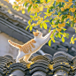 来自相册