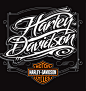 Harley Davidson 关于哈雷的插画